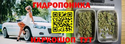 молекула духа Жуковский